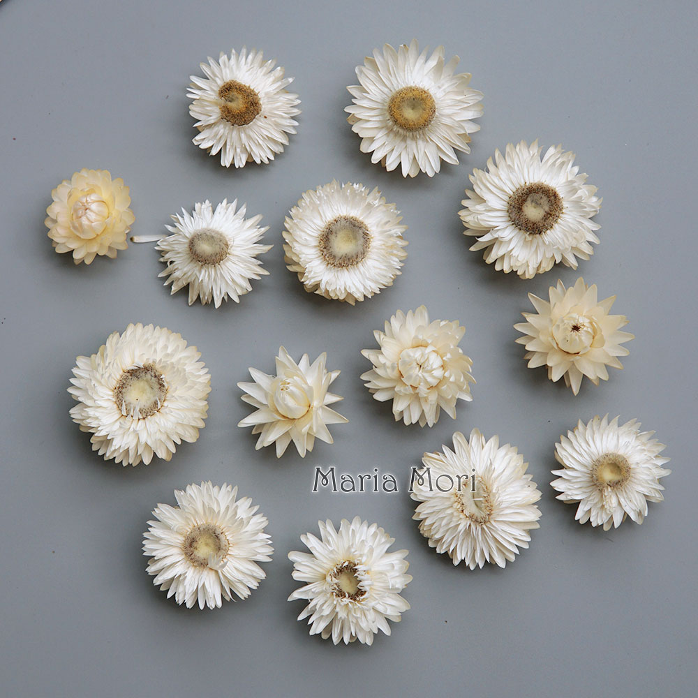 天然のドライでカラフルな菊の花輪,手作りのヘアアクセサリー, - Baby Products In のレビューと価格